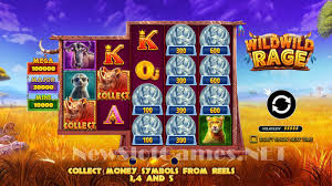 Wild Wild Rage Slots