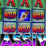 Cash Cove AVP Slots